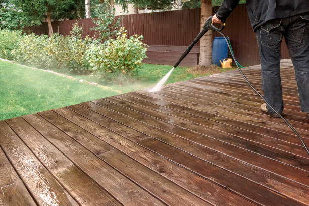 Best Fence Cleaning  in Locust Valley, NY